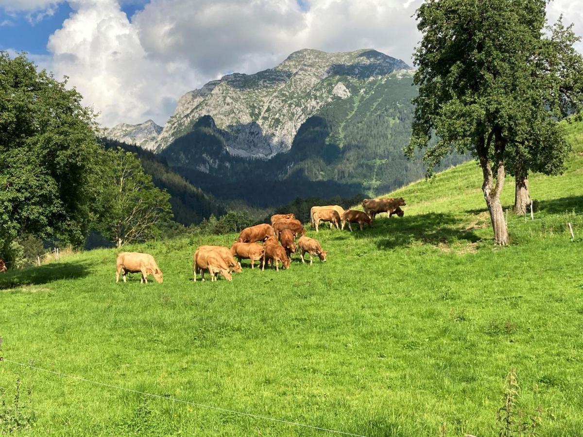 Ferienhof Pacher Spital Am Pyhrn Exteriör bild