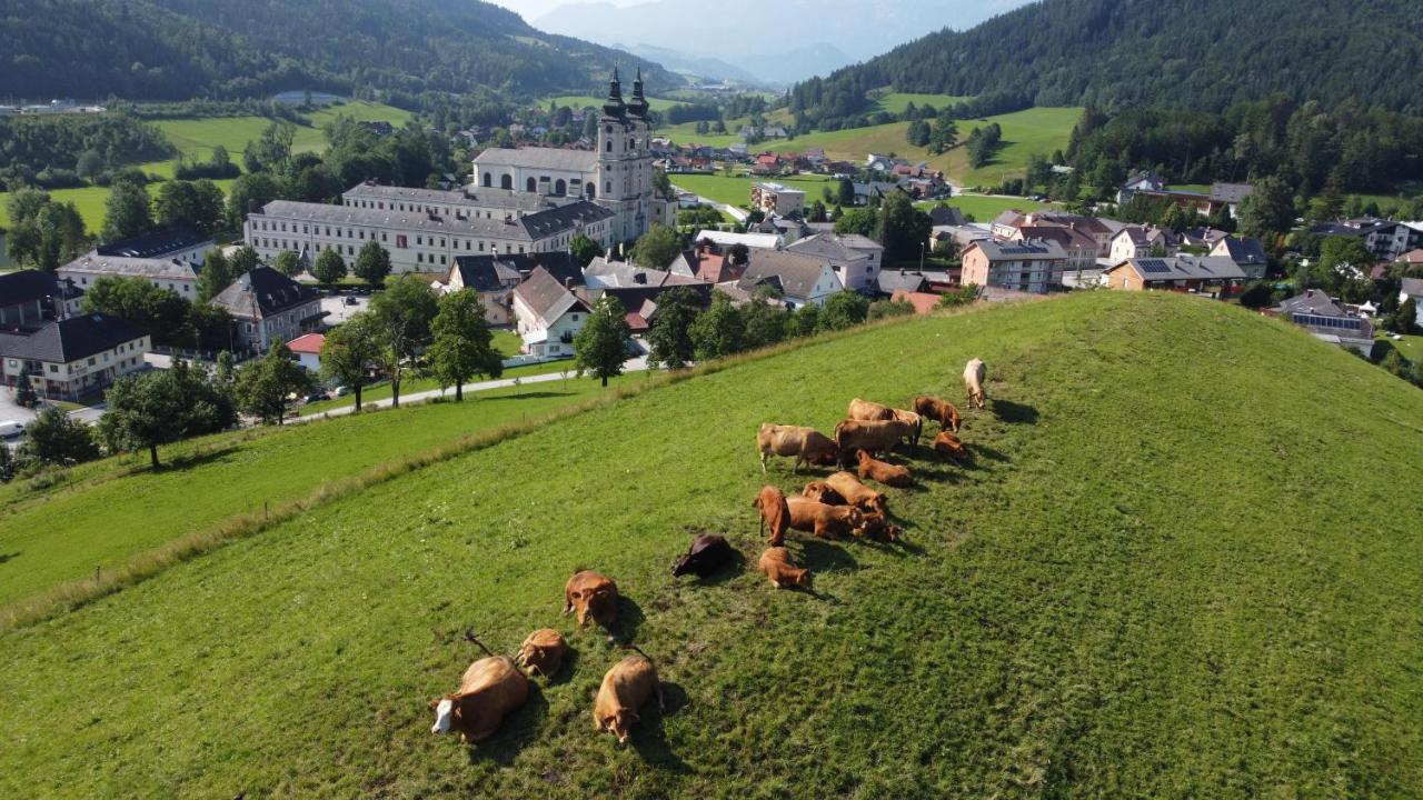 Ferienhof Pacher Spital Am Pyhrn Exteriör bild