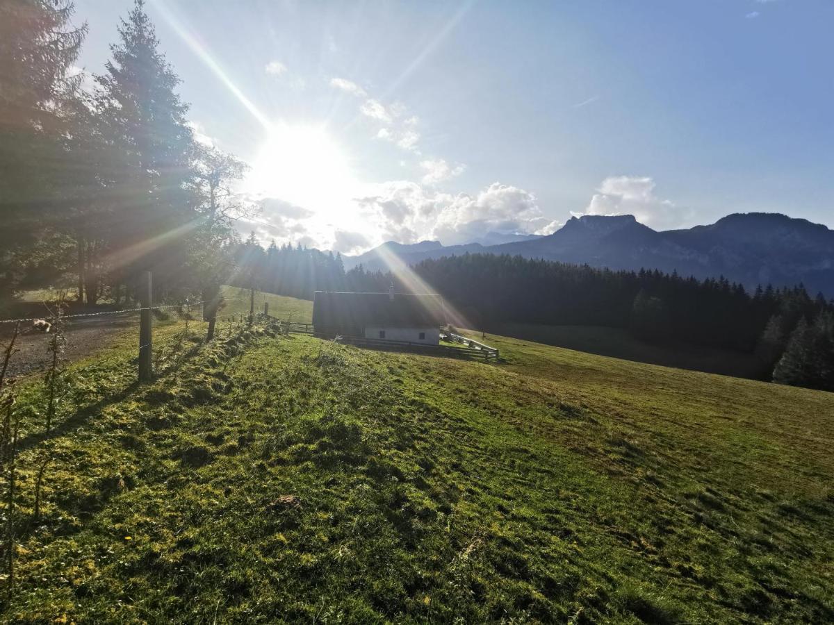 Ferienhof Pacher Spital Am Pyhrn Exteriör bild